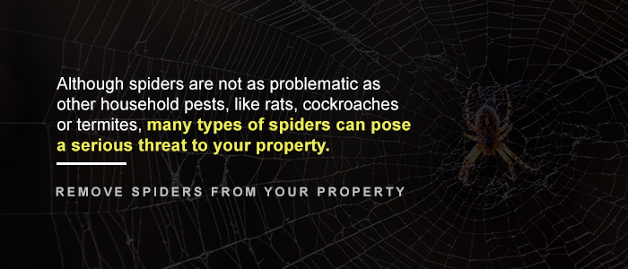 Barn Spider Control Services - Barn Spider Exterminators