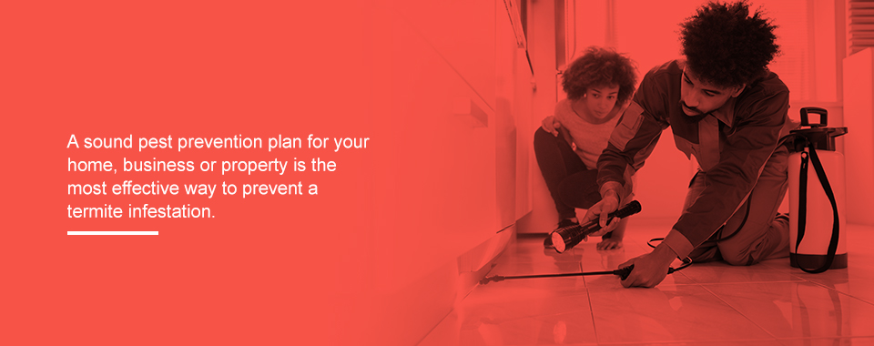 Have a Pest Prevention Plan