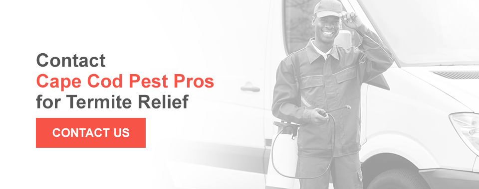 Contact Cape Code Pest Pros For Termite Relief